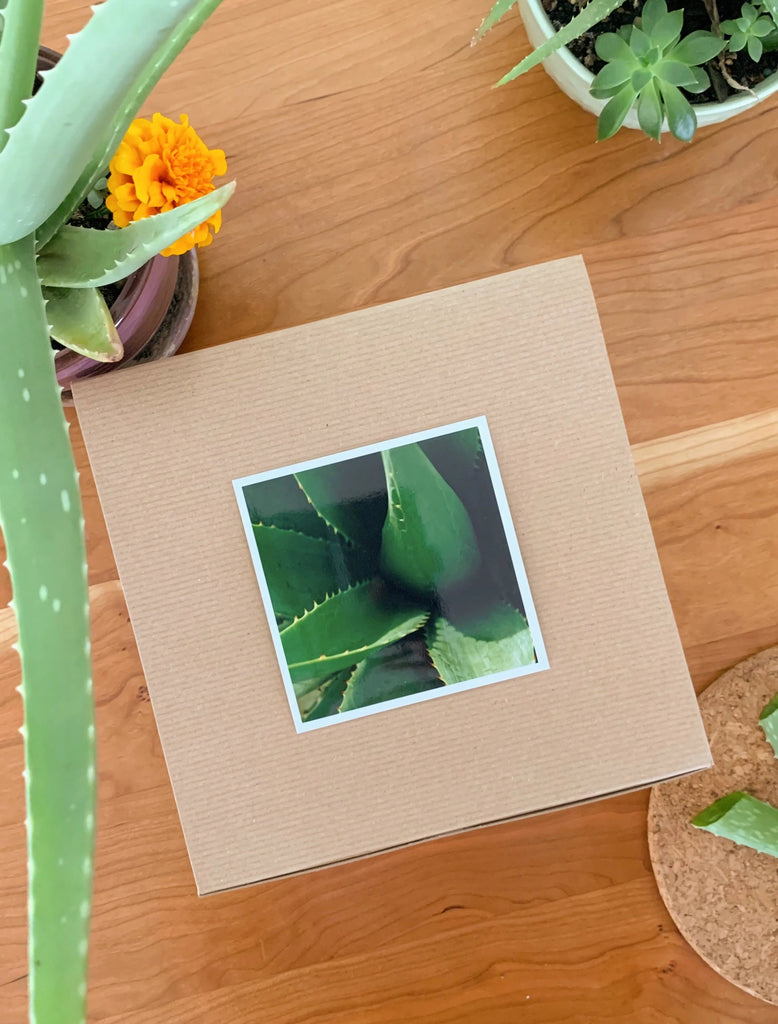 Aloe Lovers Skincare Gift Box Grounded Sage Skincare