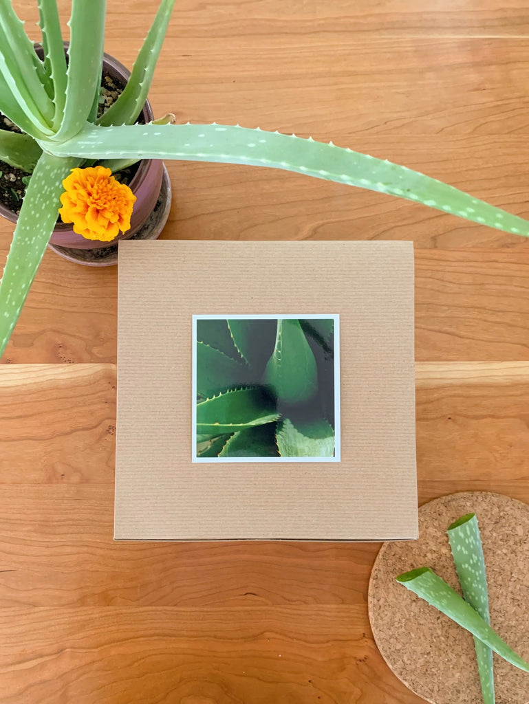 Aloe Lovers Skincare Gift Box Grounded Sage Skincare