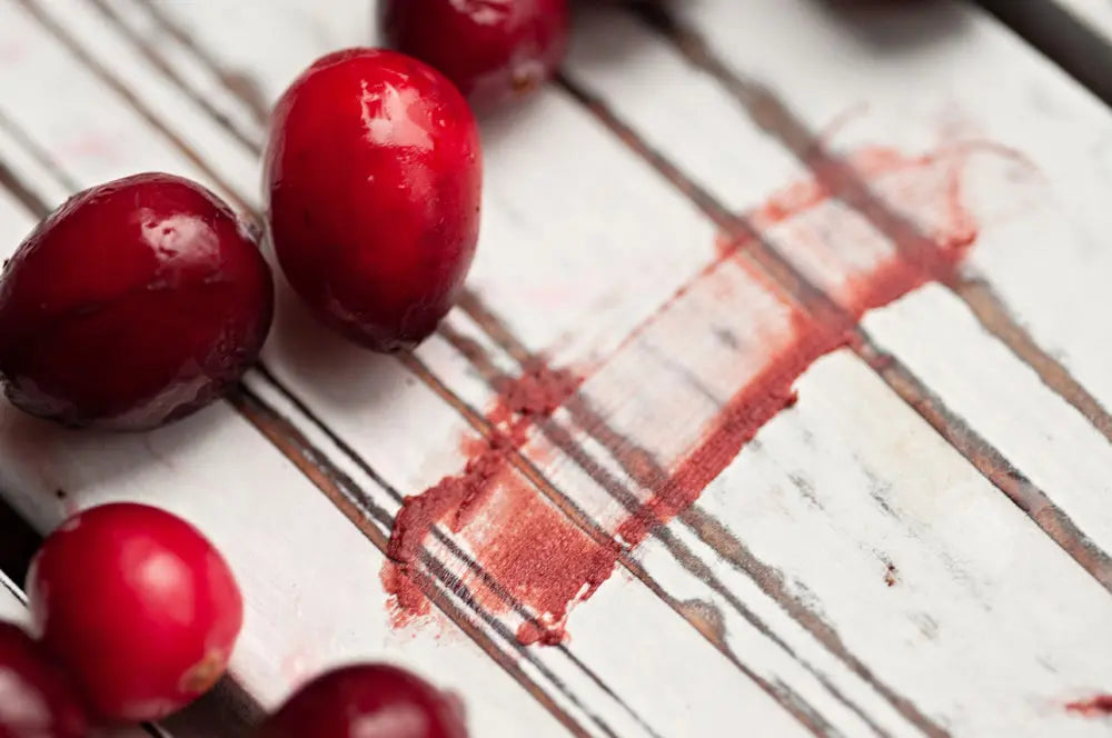 Cranberry Tinted Lip Balm Grounded Sage Skincare