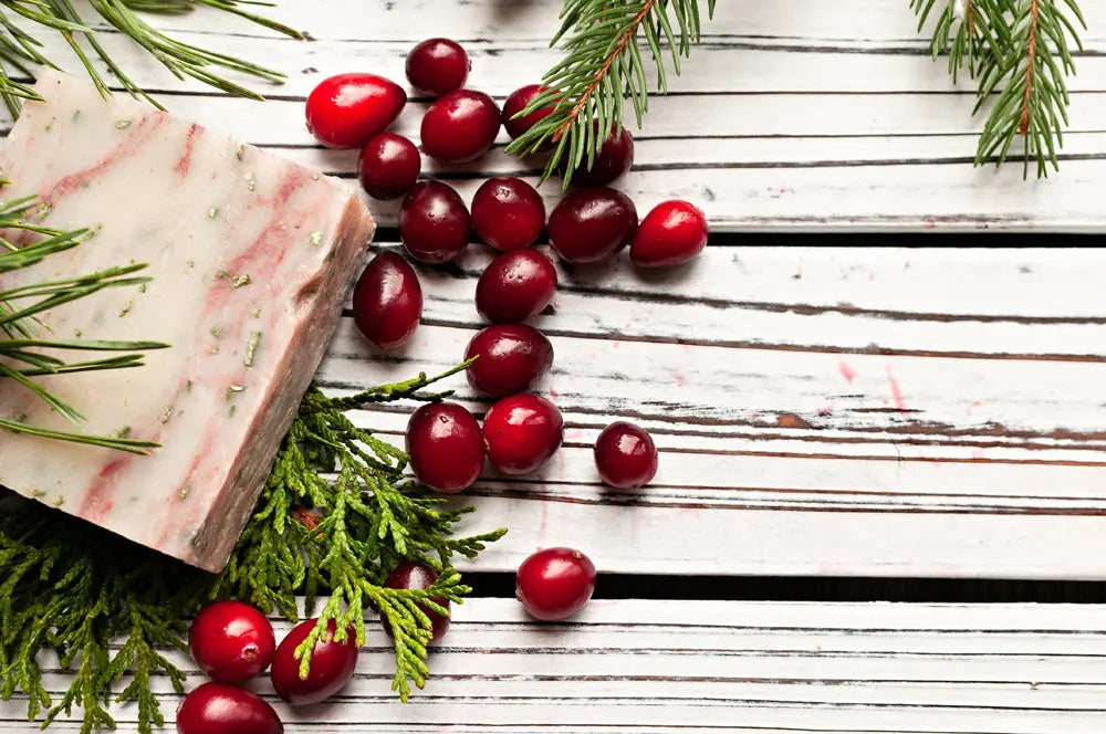 Holiday Cheer Handmade Soap Grounded Sage Skincare