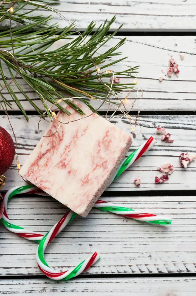 Handmade Holiday Soap Bundle - 2 pack Grounded Sage Skincare