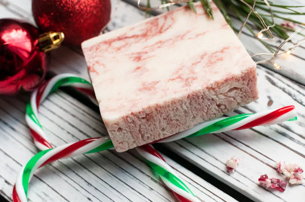 Handmade Holiday Soap Bundle - 2 pack Grounded Sage Skincare