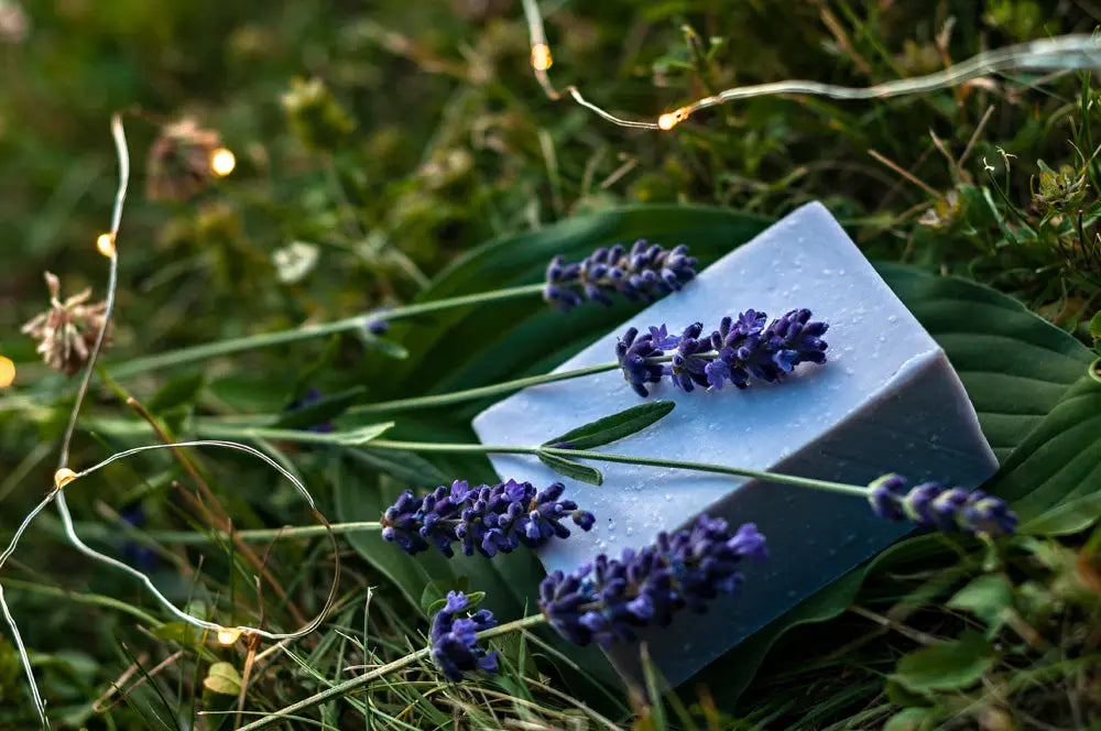 Lavender Lullaby Sensitive Skin Handmade Soap Bar Grounded Sage Skincare