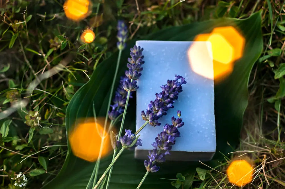 Lavender Lullaby Sensitive Skin Handmade Soap Bar Grounded Sage Skincare