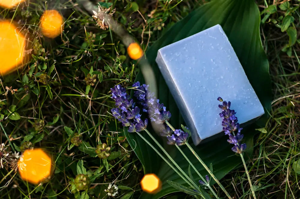 Lavender Lullaby Sensitive Skin Handmade Soap Bar Grounded Sage Skincare