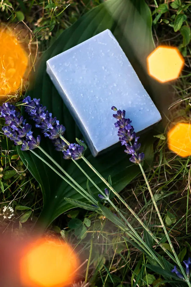 Lavender Lullaby Sensitive Skin Handmade Soap Bar Grounded Sage Skincare