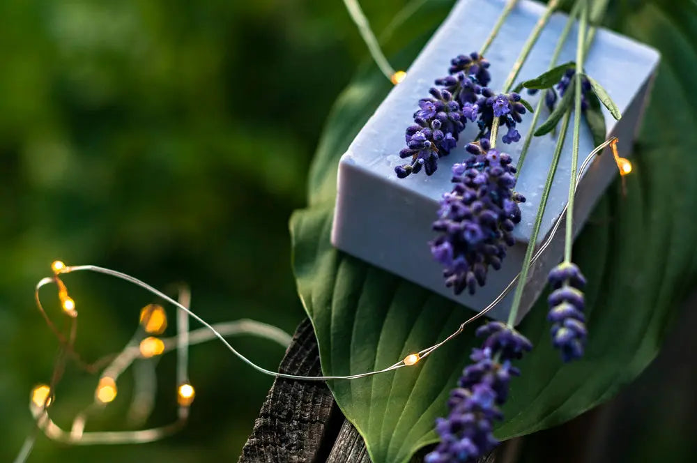 Lavender Lullaby Sensitive Skin Handmade Soap Bar Grounded Sage Skincare