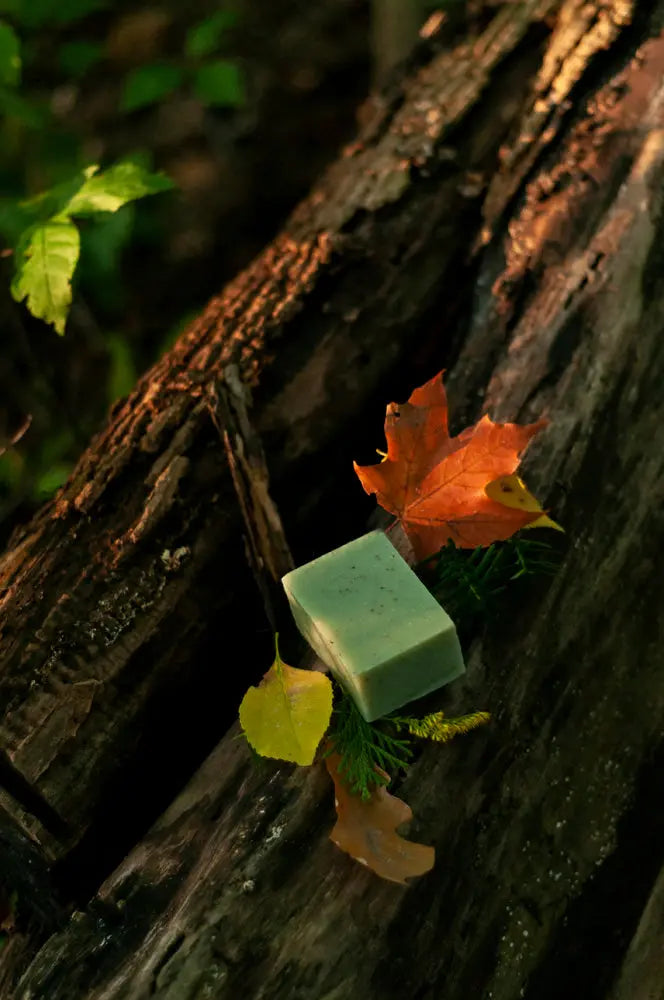 Woodland Trail Earthy Handmade Soap Bar Grounded Sage Skincare