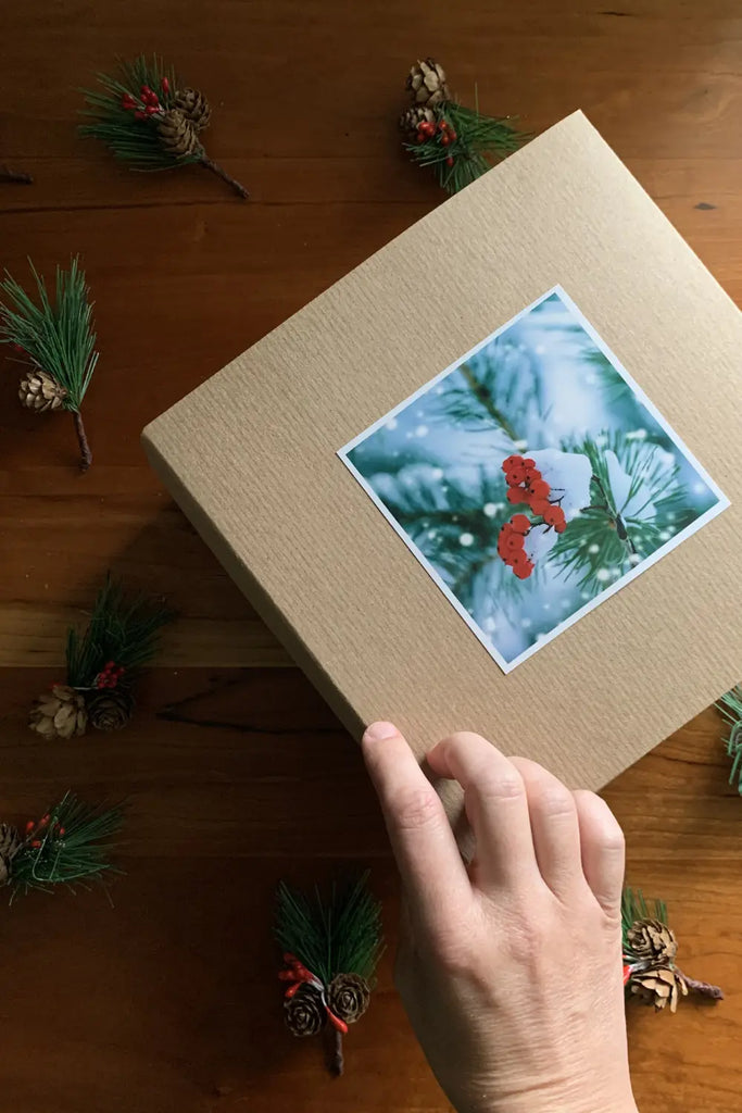 Holiday Body Butter Collection Grounded Sage Skincare